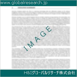 グローバルリサーチ調査資料のイメージ